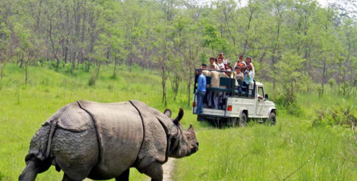 चलायमान बन्दै सौराहामा पर्यटकीय गतिविधि